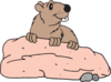 Beaver On A Rock Clip Art